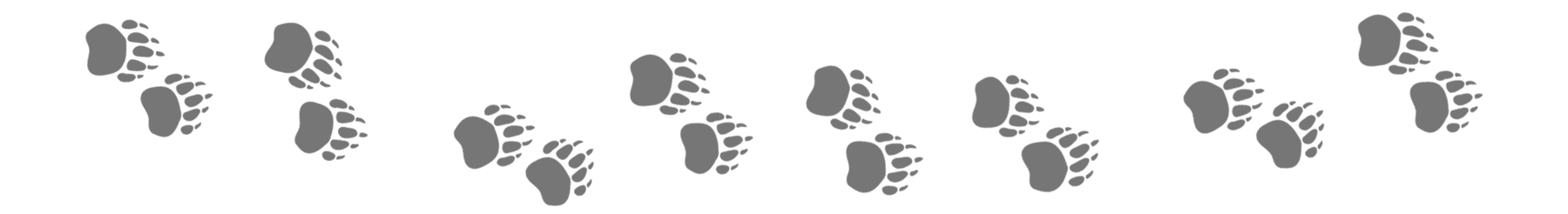 A black and white drawing depicting a collection of feathers, resembling a back scratcher in design and texture.