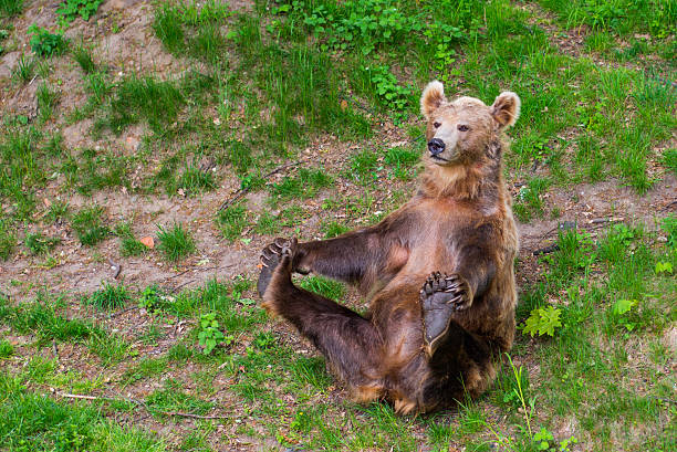 Why Bearable is the Perfect Back Massager for Daily Relief